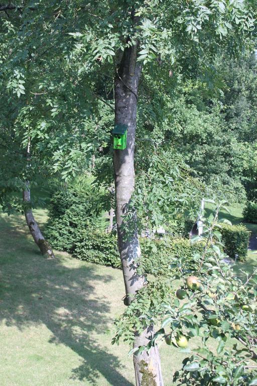B&B Villa Roma Дюрби Екстериор снимка